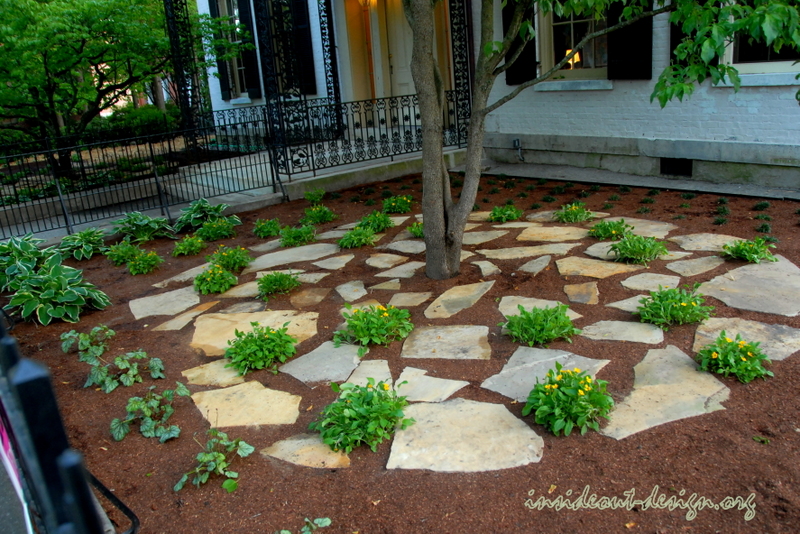 More Green and Gold under the existing dogwood.